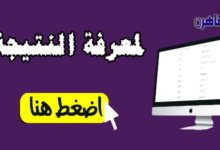 نتيجة الشهادة الابتدائية 2024 محافظة بورسعيد
