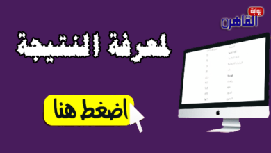 نتيجة الشهادة الابتدائية 2024 محافظة بورسعيد