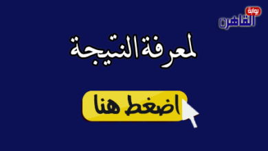 نتيجة الشهادة الاعدادية 2024 محافظة الغربية بالاسم ورقم الجلوس