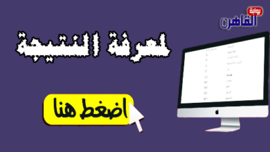 نتيجة الصف الرابع الابتدائي 2024 الترم الأول