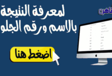 نتيجة الصف الرابع الابتدائي 2024 محافظة الجيزة
