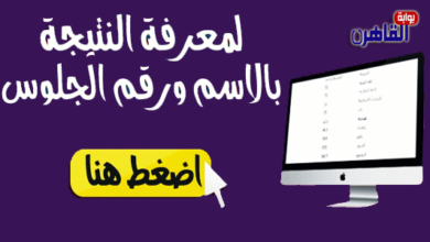 نتيجة الصف الرابع الابتدائي 2024 محافظة السويس