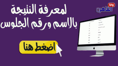 نتيجة الصف الرابع الابتدائي 2024 محافظة الغربية
