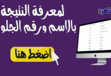 نتيجة الصف الرابع الابتدائي 2024 محافظة القاهرة