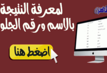 نتيجة الصف الرابع الابتدائي 2024 محافظة القليوبية