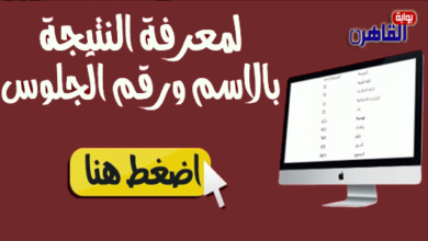 نتيجة الصف الرابع الابتدائي 2024 محافظة بورسعيد