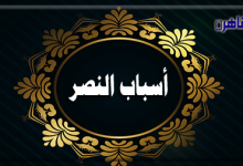 برنامج منارة الإسلام-أسباب النصر-موقع بوابة القاهرة