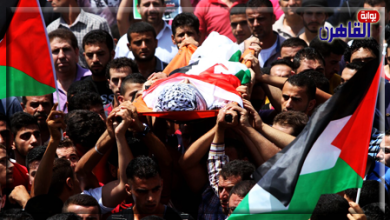 استشهاد 9 فلسطينيين وإصابة العشرات أثناء توزيع المساعدات الإنسانية-موقع بوابة القاهرة