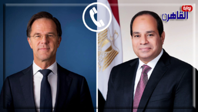 الرئيس السيسي مع رئيس وزراء هولندا-بوابة القاهرة