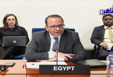 مصر تبدأ عضويتها بمجلس السلم والأمن الأفريقي حتى مارس 2026-بوابة القاهرة