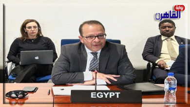 مصر تبدأ عضويتها بمجلس السلم والأمن الأفريقي حتى مارس 2026-بوابة القاهرة
