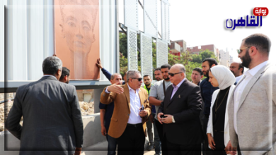 محافظ القاهرة يتفقد أعمال تحسين الرؤية البصرية بالطريق الدائري-بوابة القاهرة
