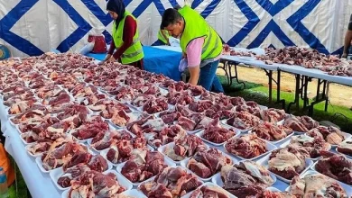 تضامن القليوبية توزيع 20 طن لحوم أضاحي و2 مليون جنيه مساعدات مالية