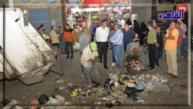 نائب محافظ الدقهلية