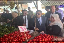 جولات مفاجئة لمحافظ الدقهلية على المخابز والأسواق بالمنصورة وجمصة وبلقاس-موقع بوابة القاهرة
