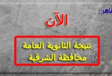 نتيجة الثانوية العامة 2024 محافظة الشرقية بالاسم فقط ورقم الجلوس-نتيجة الصف الثالث الثانوي 2024 محافظة الشرقية
