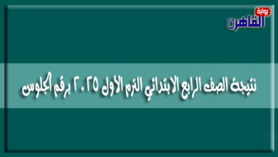 ينشر موقع بوابة القاهرة رابط نتيجة الصف الرابع الابتدائي الترم الأول 2025 برقم الجلوس
