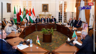 موقع بوابة القاهرة بيان مشترك من القاهرة إجماع عربي على دعم غزة وتحقيق السلام
