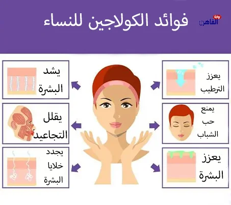 االكولاجين البقري والبروتيني والبحري فوائد الكولاجين للنساء