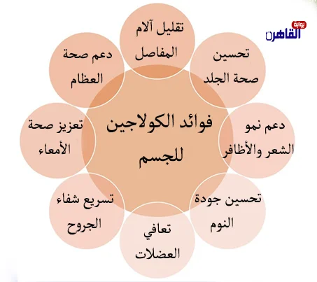 فوائد الكولاجين الطبيعي والمكملات للجسم فوائد الكولاجين