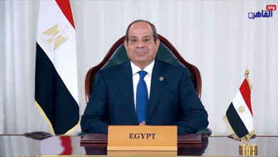 التحالف الوطني يشيد بجهود القيادة المصرية في تحقيق وقف إطلاق النار بغزة