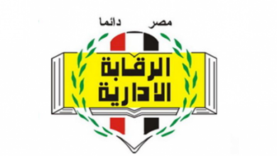 حبس وغرامة لعصابة دولية حاولت الاحتيال على شركة مصرية